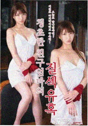 春日慢递剧集封面
